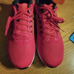 New Men's Nike Air Zoom Pegasus 39 (Ohio State), 10.5